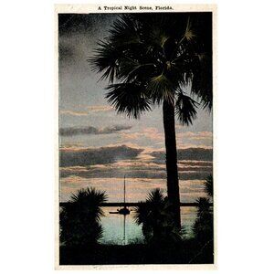Postcard A Tropical Night Scene in Florida sailboat 1920 posted